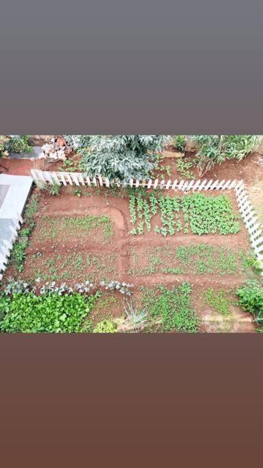 Saifarms Private Farmhouse Between Pune & Lonavala Nethersole Dam Екстер'єр фото