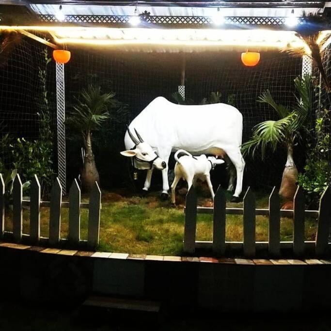 Saifarms Private Farmhouse Between Pune & Lonavala Nethersole Dam Екстер'єр фото