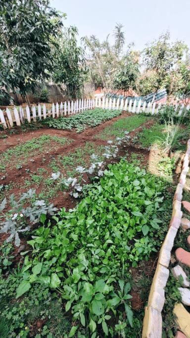 Saifarms Private Farmhouse Between Pune & Lonavala Nethersole Dam Екстер'єр фото