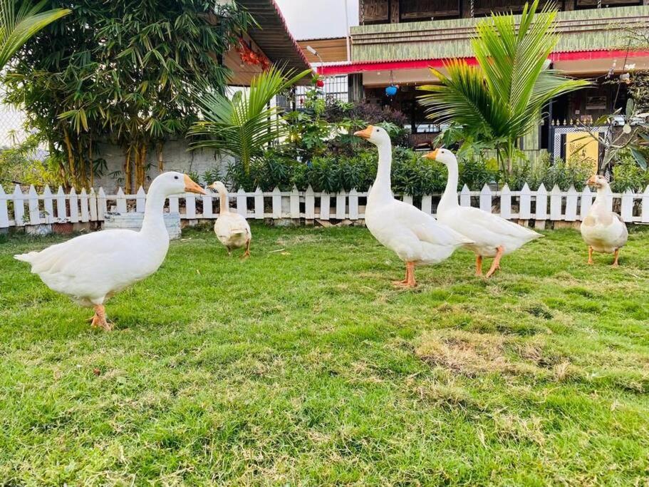 Saifarms Private Farmhouse Between Pune & Lonavala Nethersole Dam Екстер'єр фото