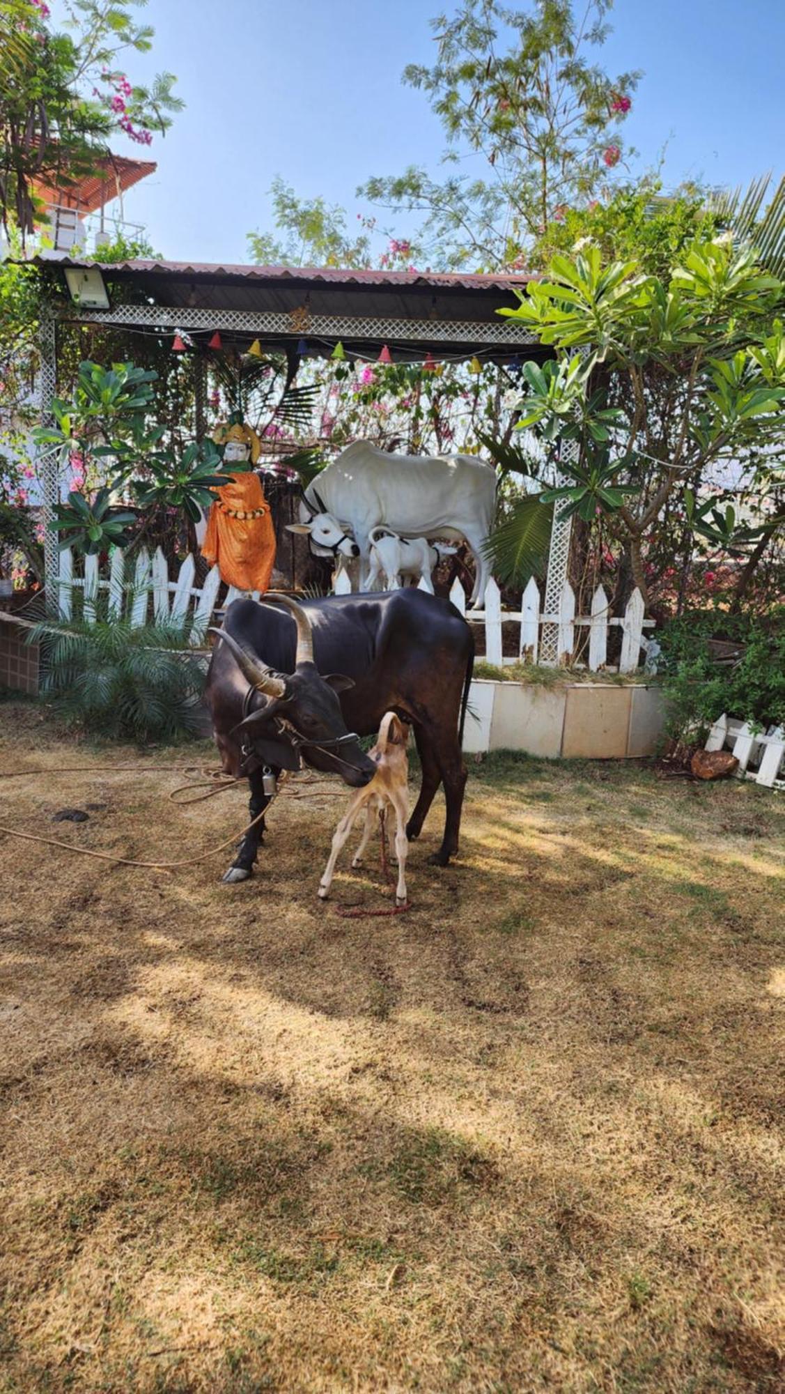 Saifarms Private Farmhouse Between Pune & Lonavala Nethersole Dam Екстер'єр фото